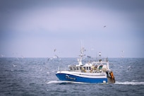 Fishing boats returning