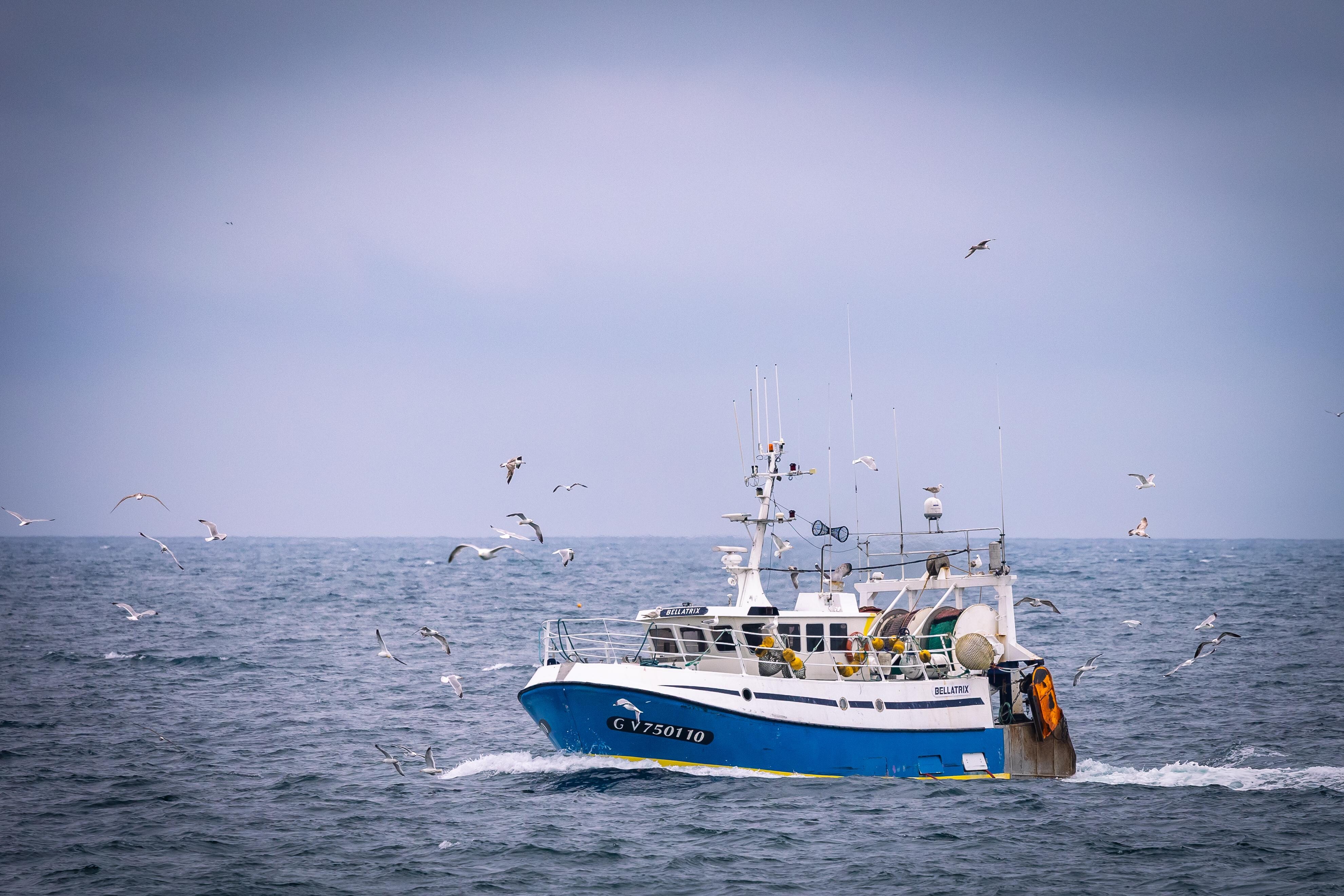 Fishing boats returning