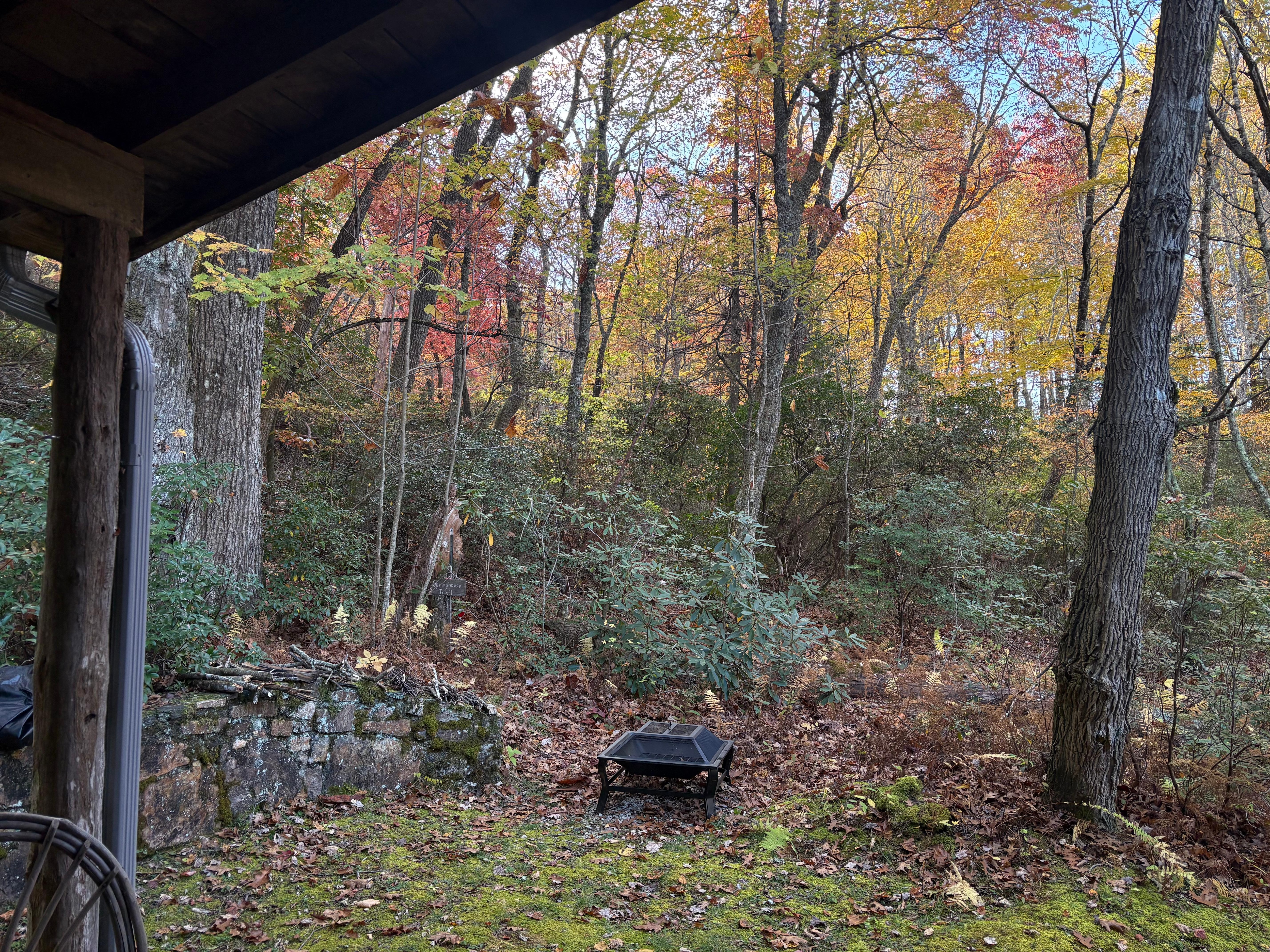 Enjoyed sitting by fire in eve.