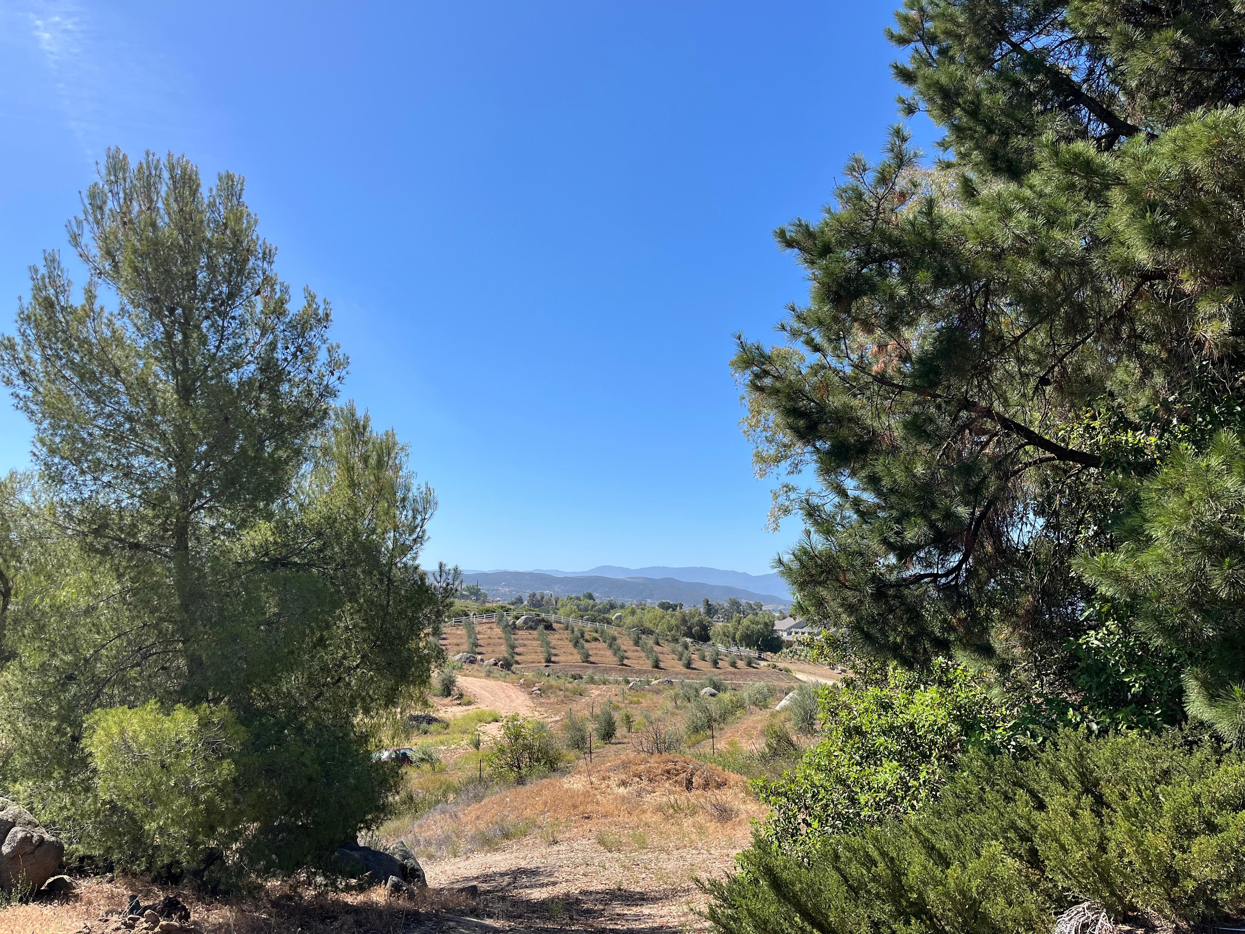 Another beautiful view