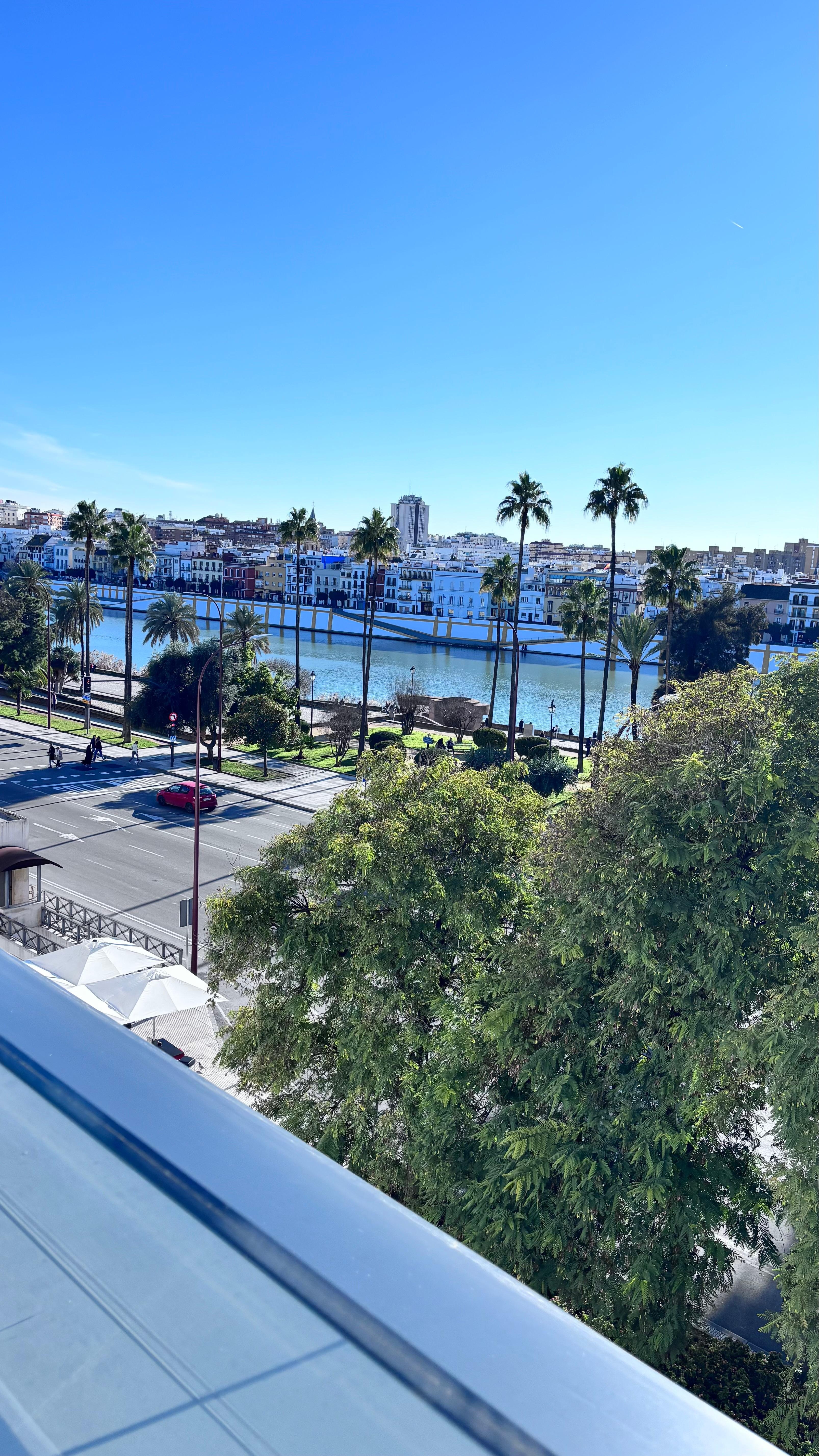 View from the rooftop bar 
