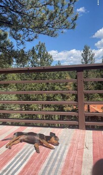 Even my dog enjoyed the sun on the deck
