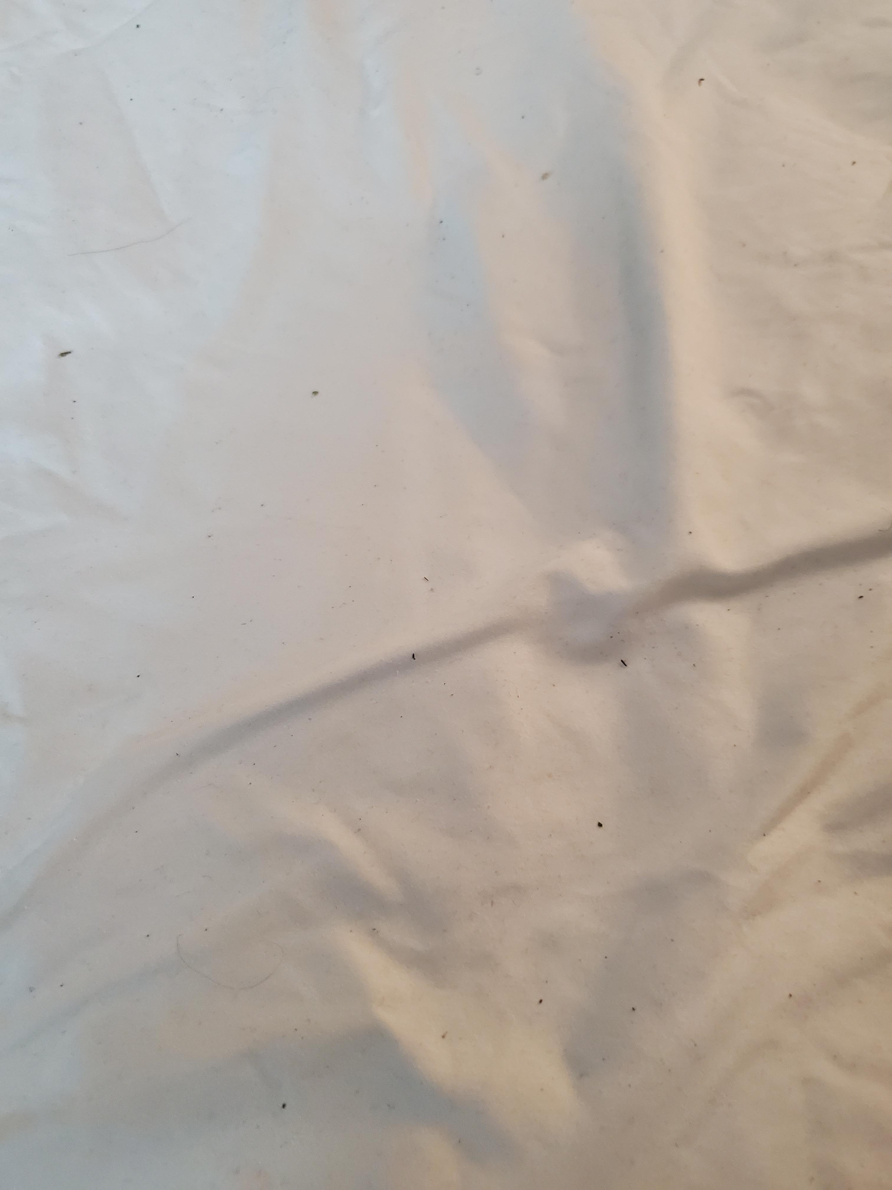 Hair and dirt in the bed