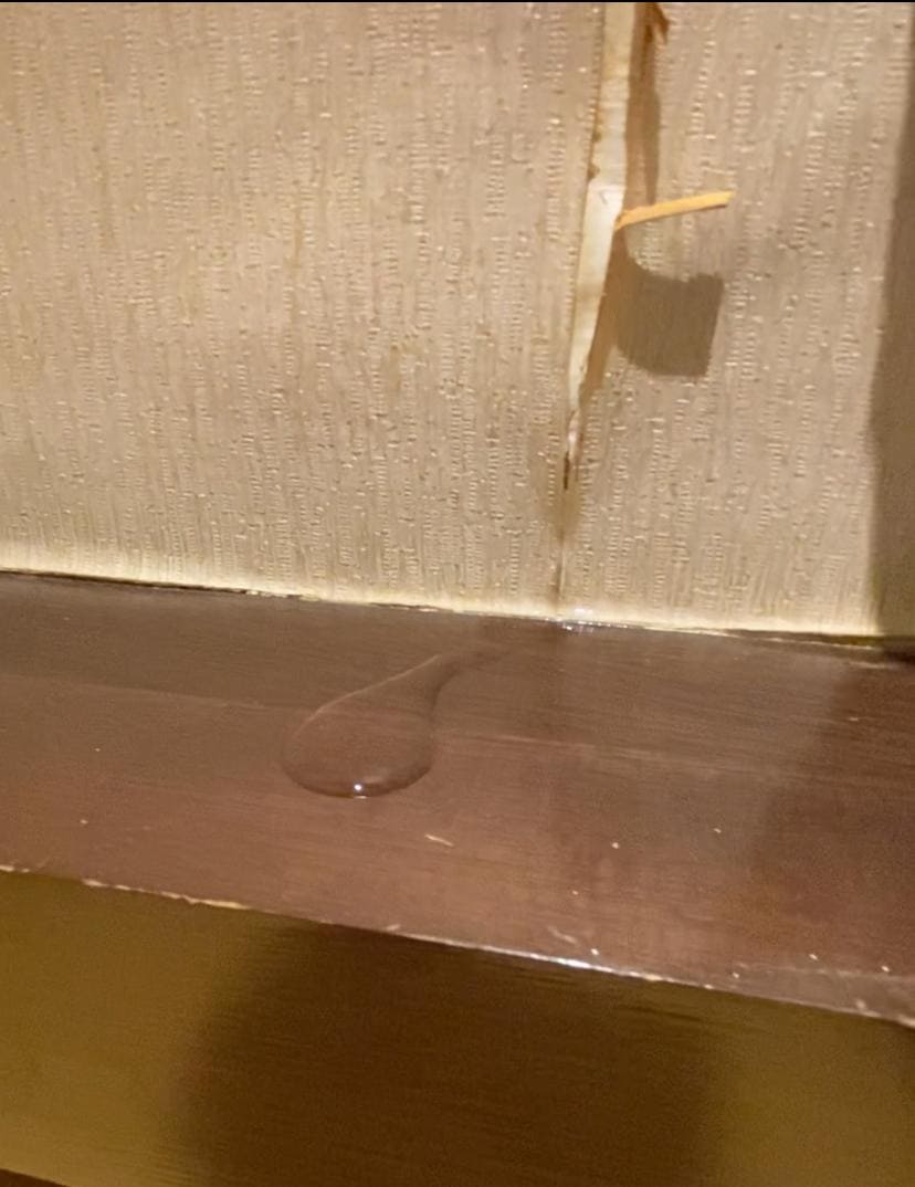 Room 410 water leaking from the wall by the window (it hadn’t rained for days)