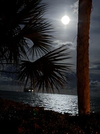 Pic by cousin at pier