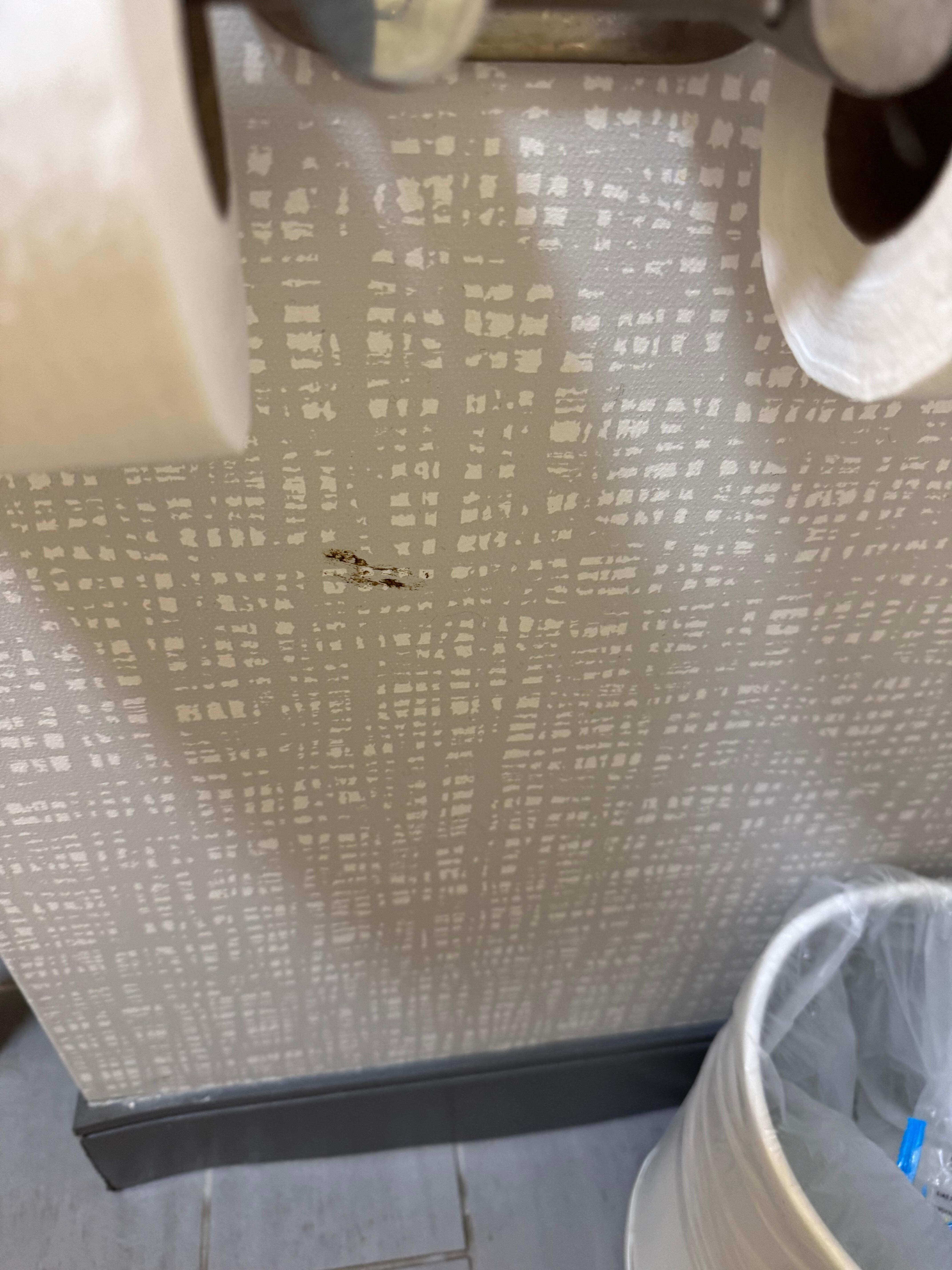 Feces on the wall