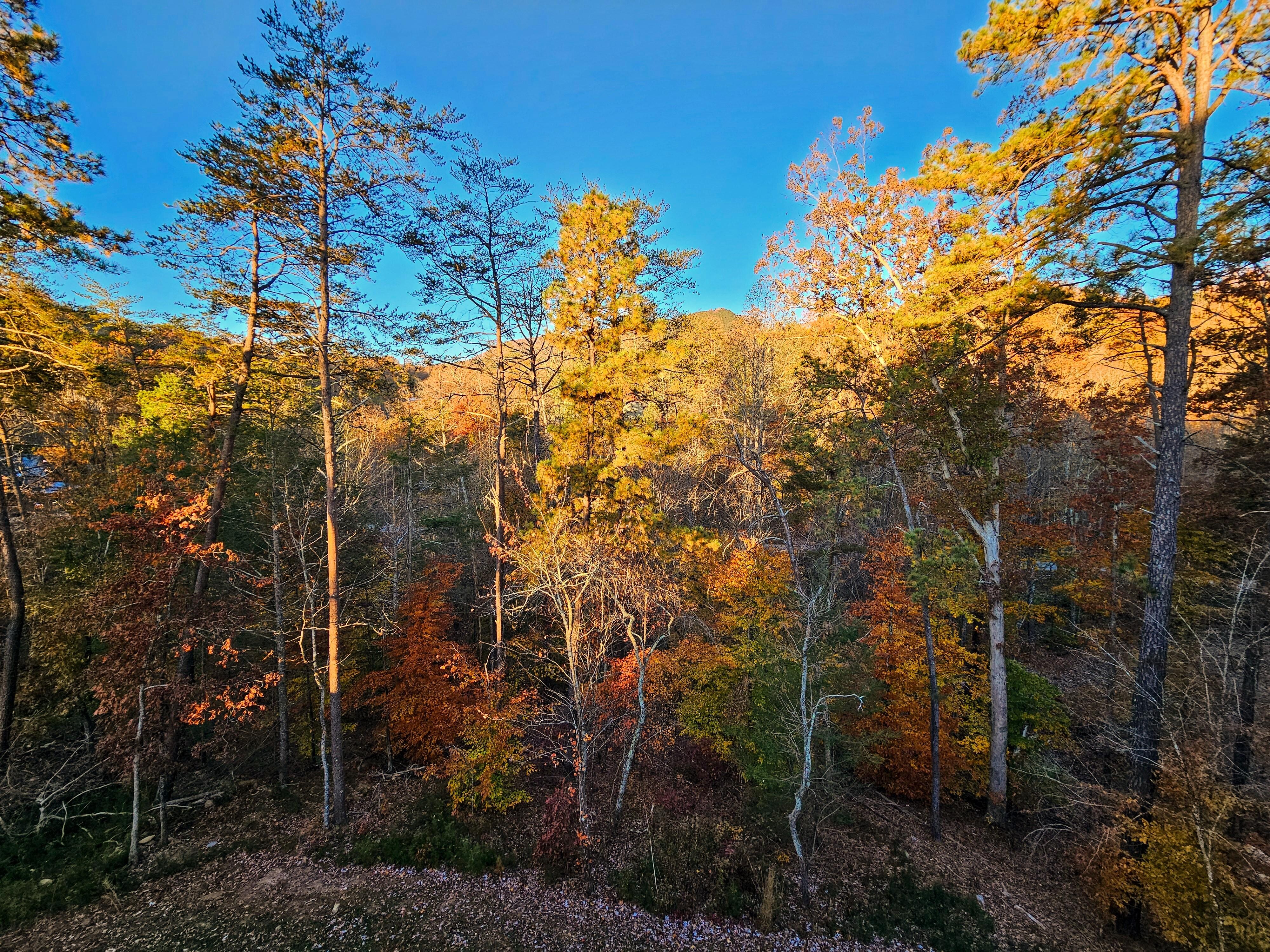 View from the main floor balcony.