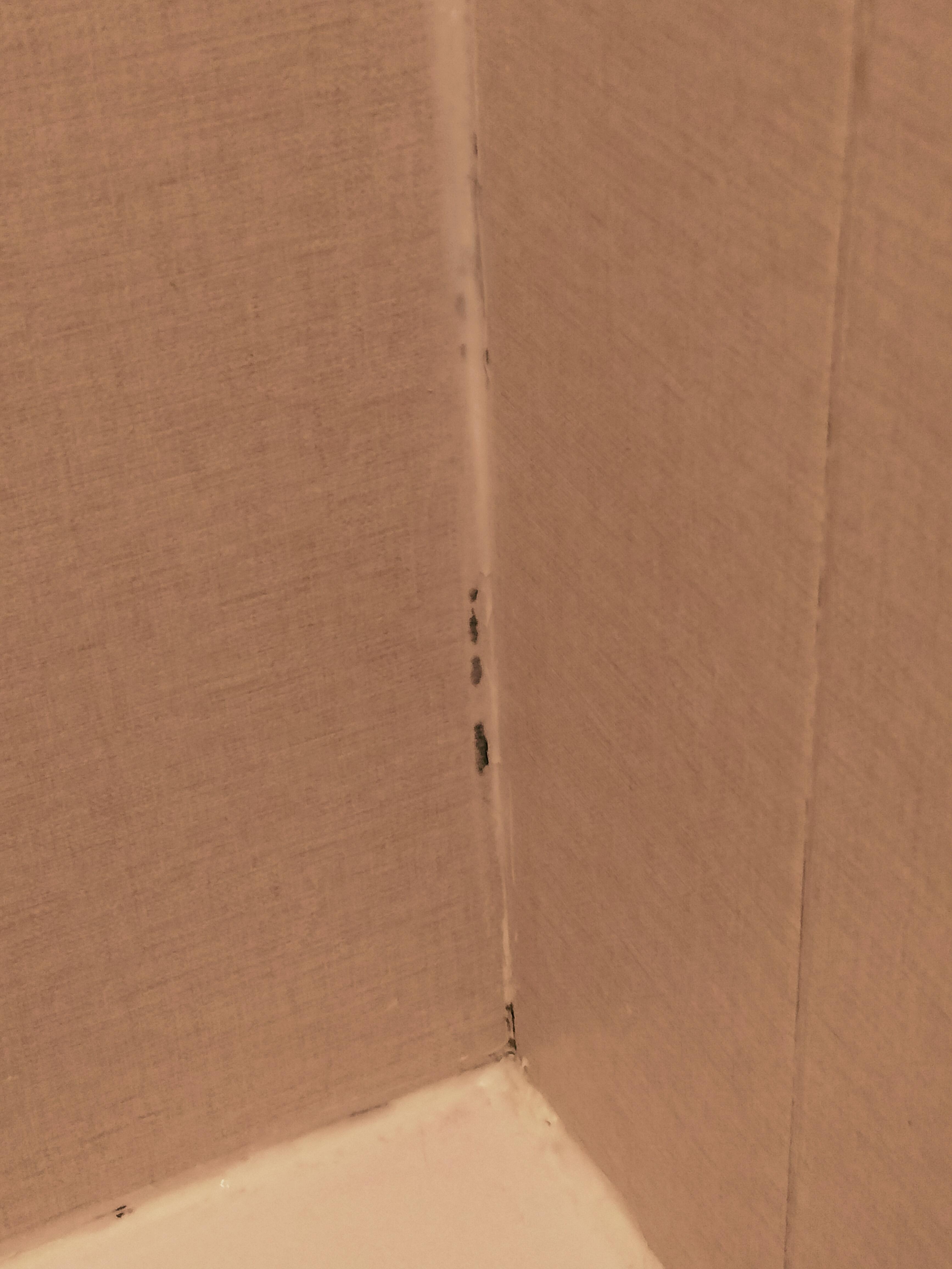 Black mold in the shower.