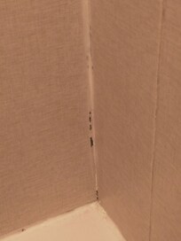 Black mold in the shower.