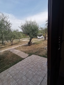 Vue de notre fenêtre...