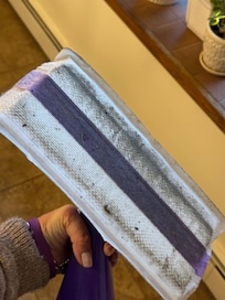 Living room floor I cleaned after the cleaner left.