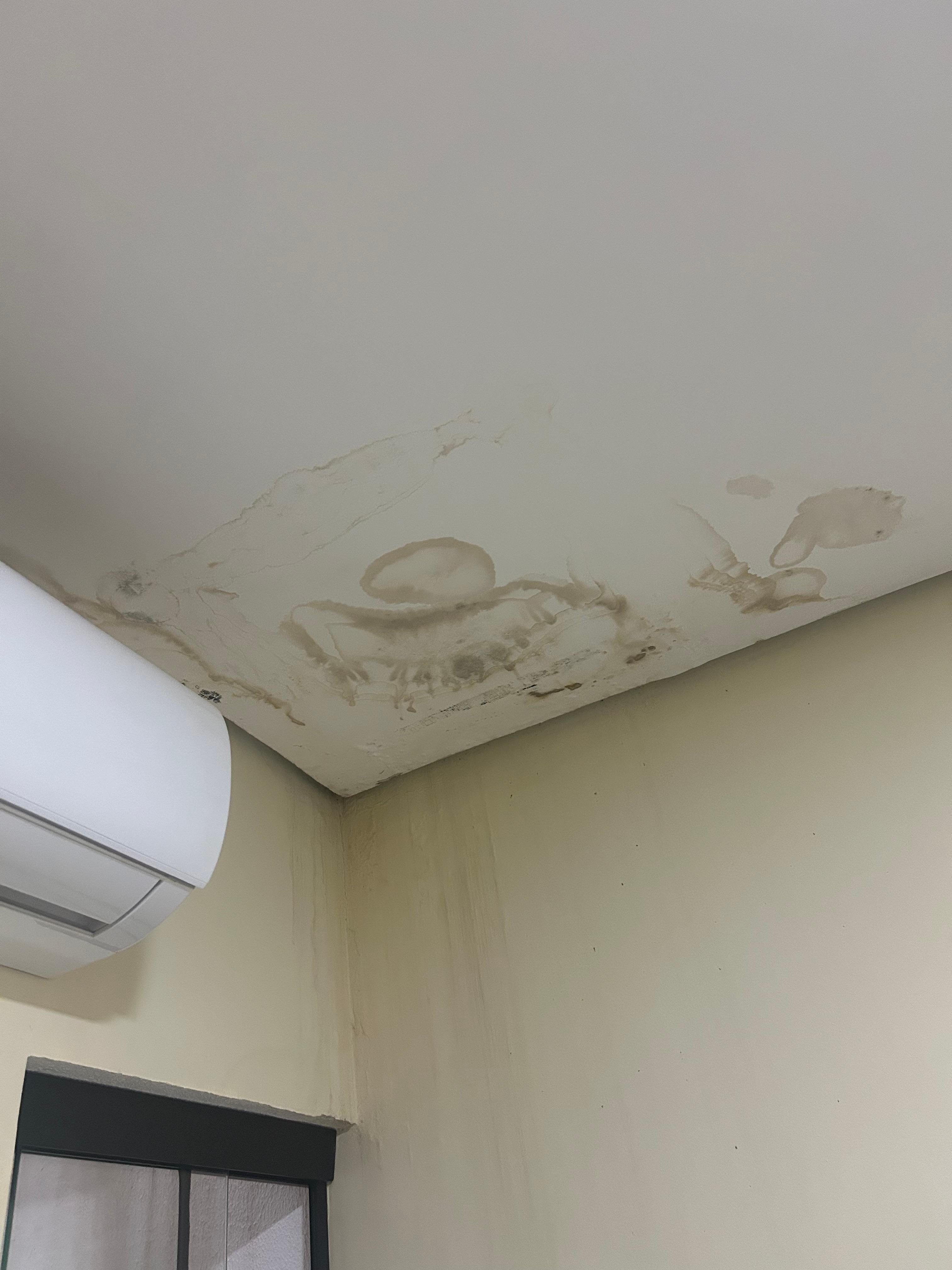 Teto mofado e com infiltração no quarto