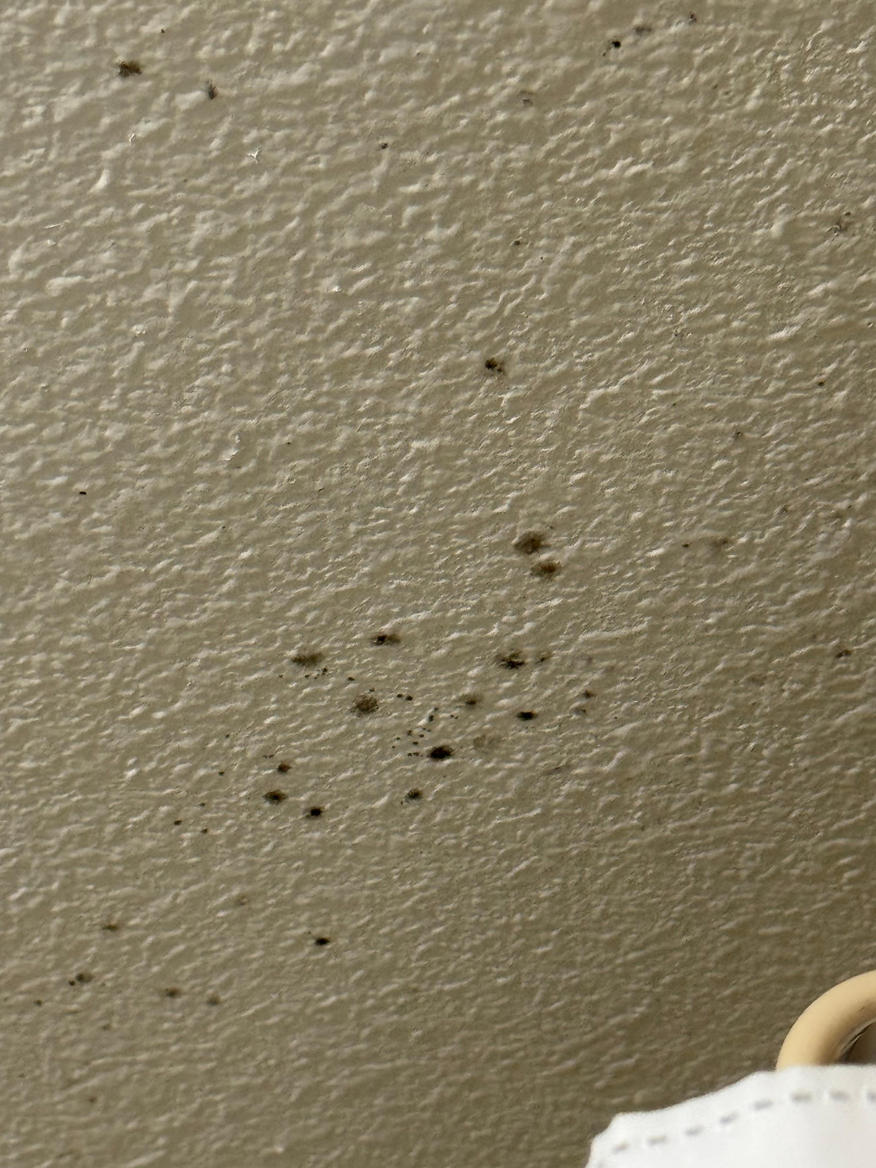 Mold