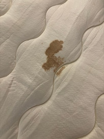 Pull out bed bloodstains