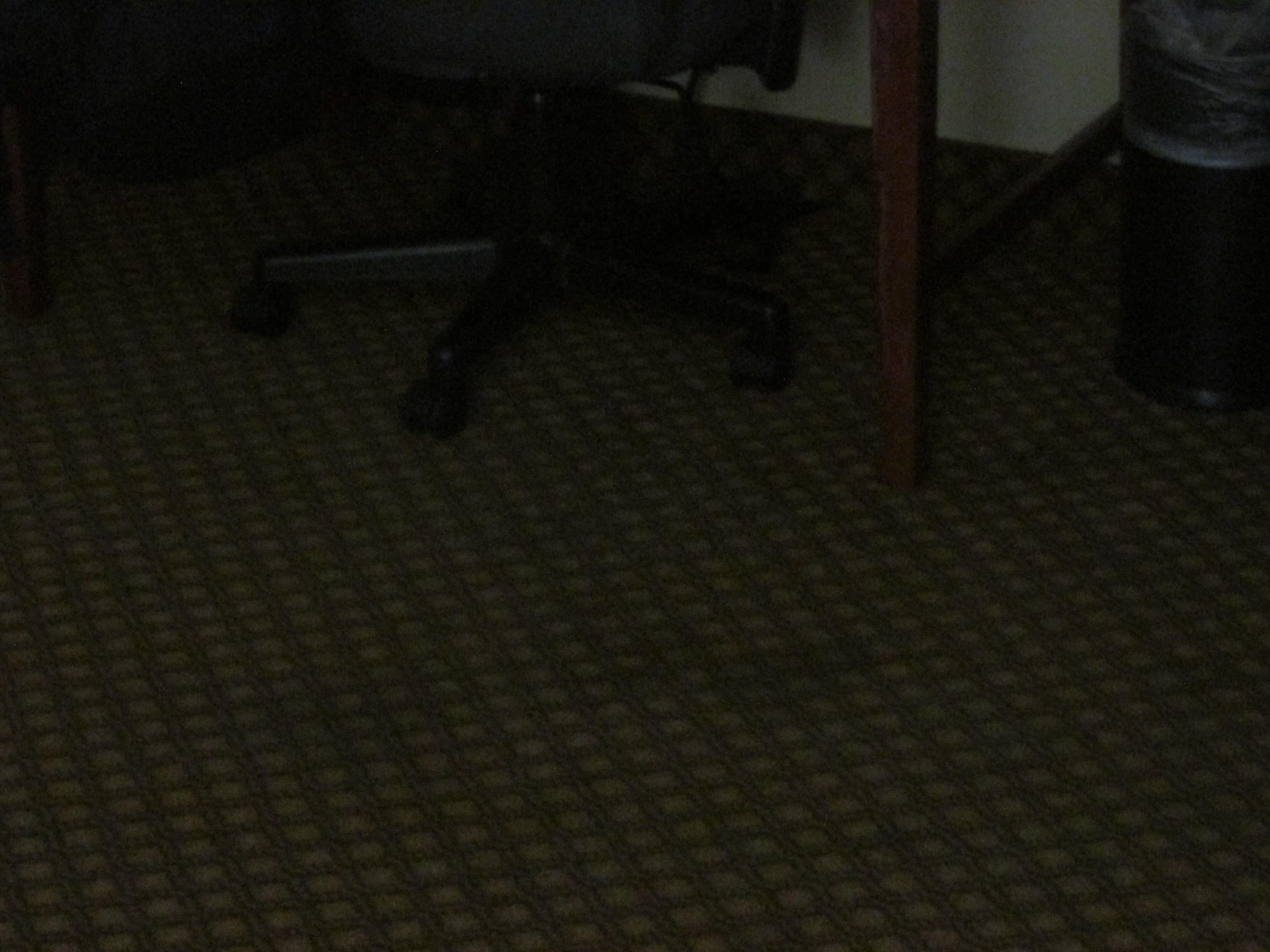Dirty carpet