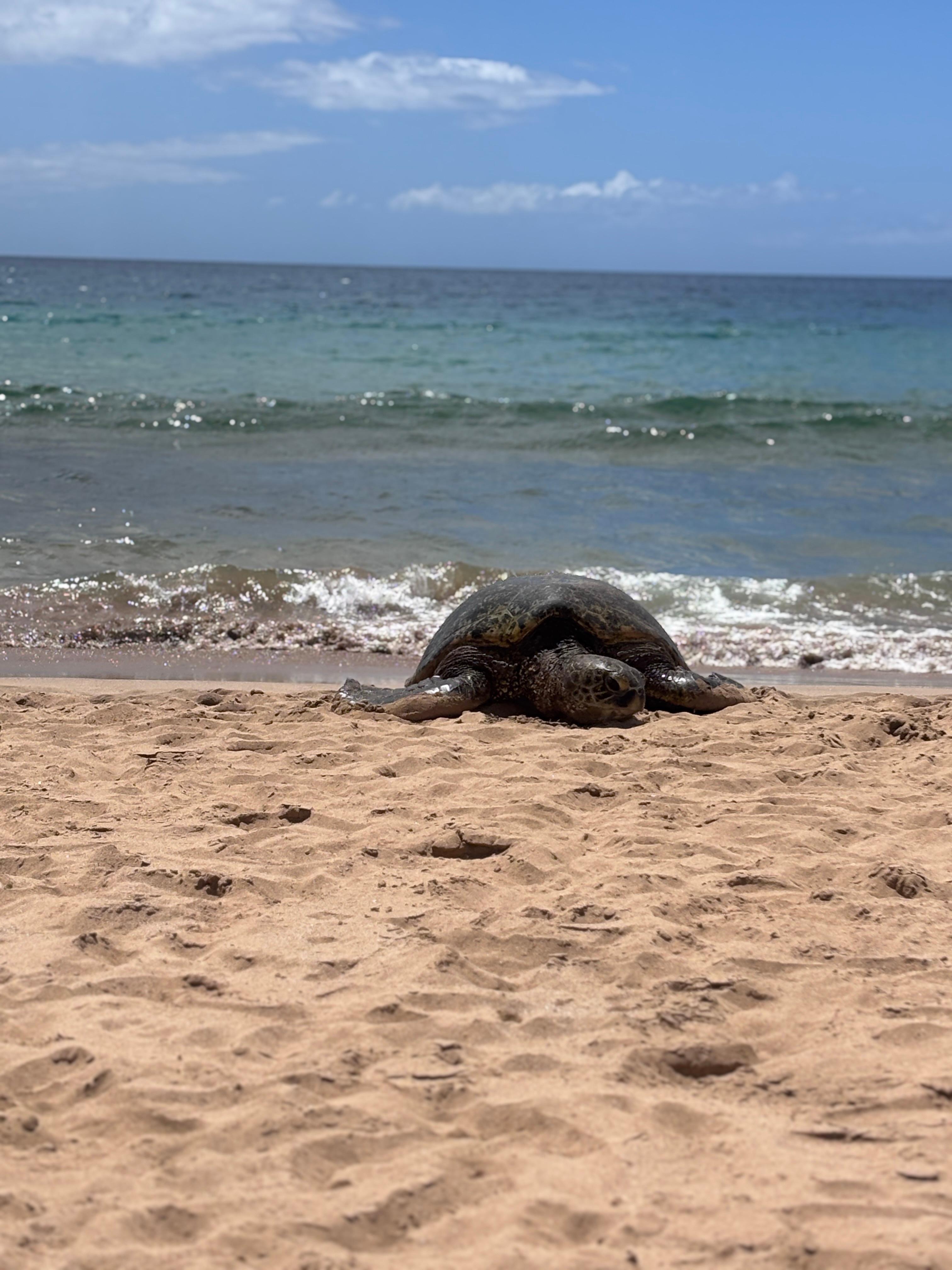 Beach right across the street 