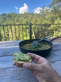 View from Back deck