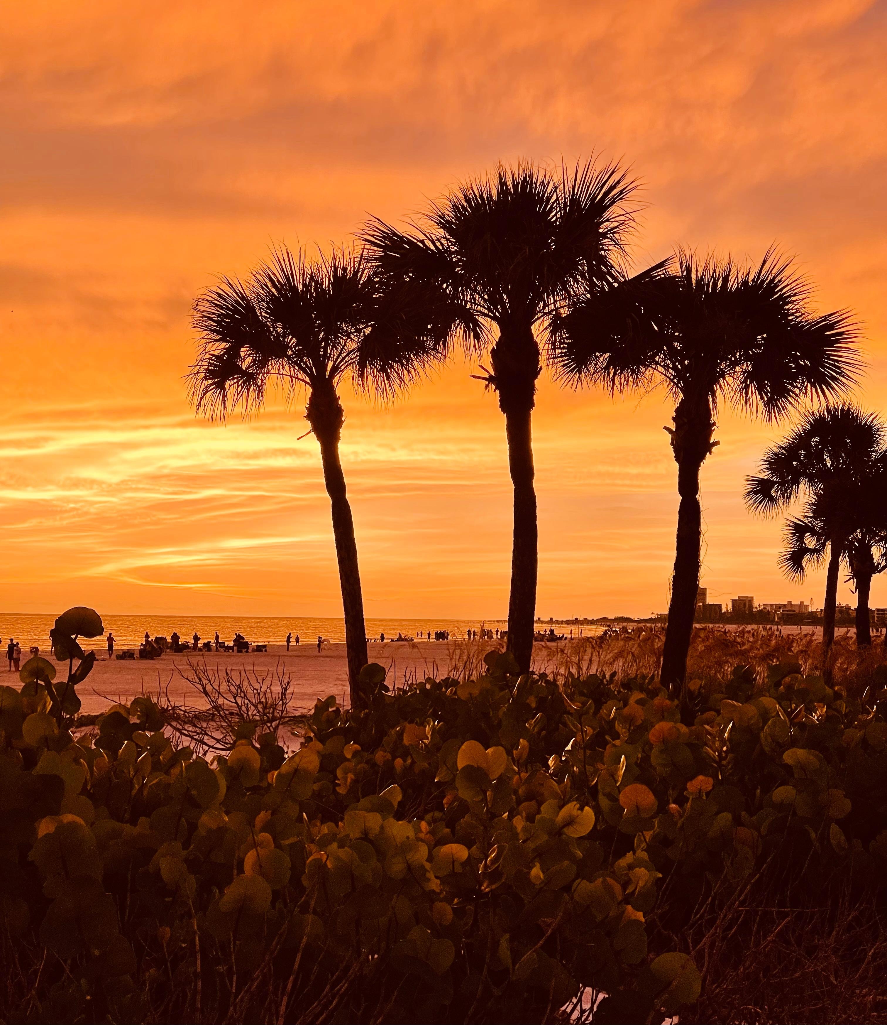 Incredible sunset from the deck area