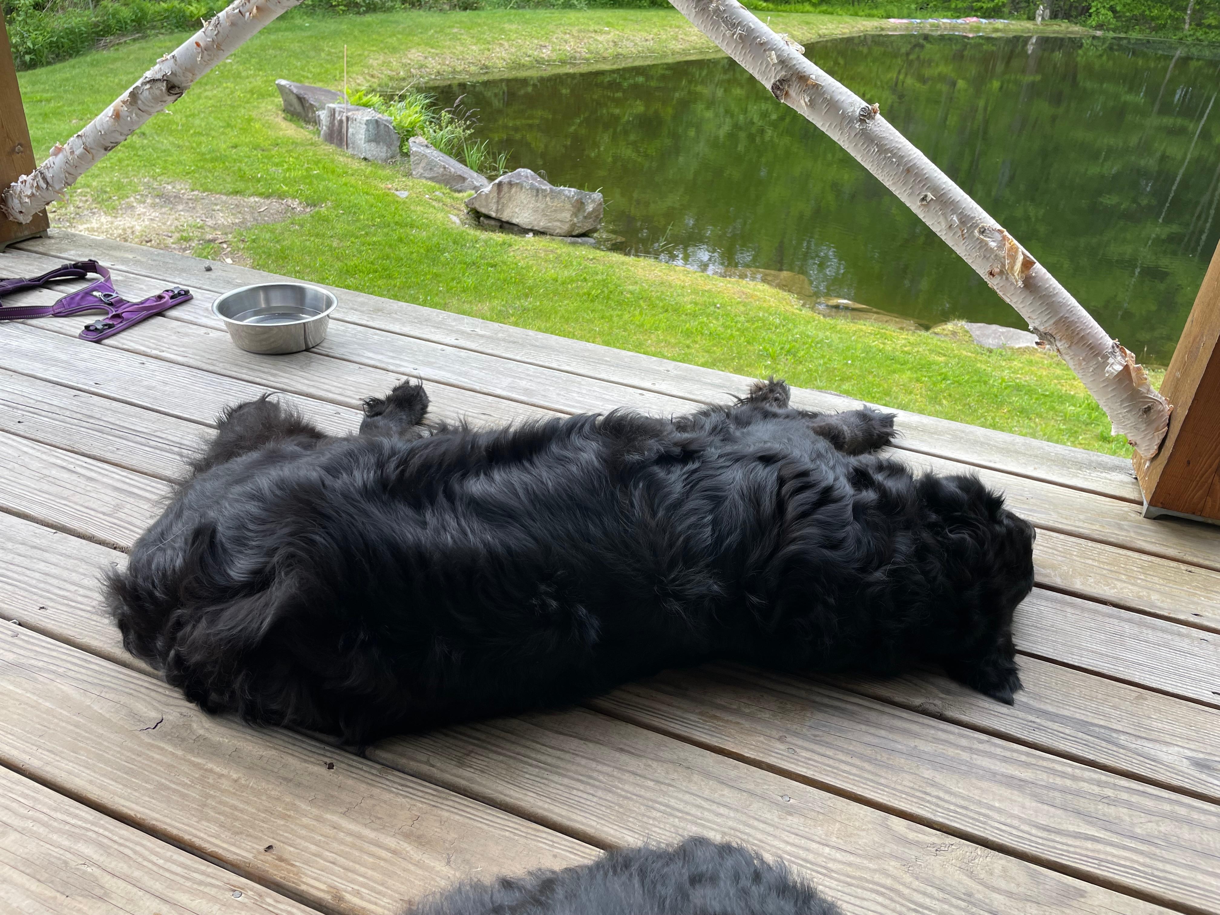 Relaxing and enjoying the view