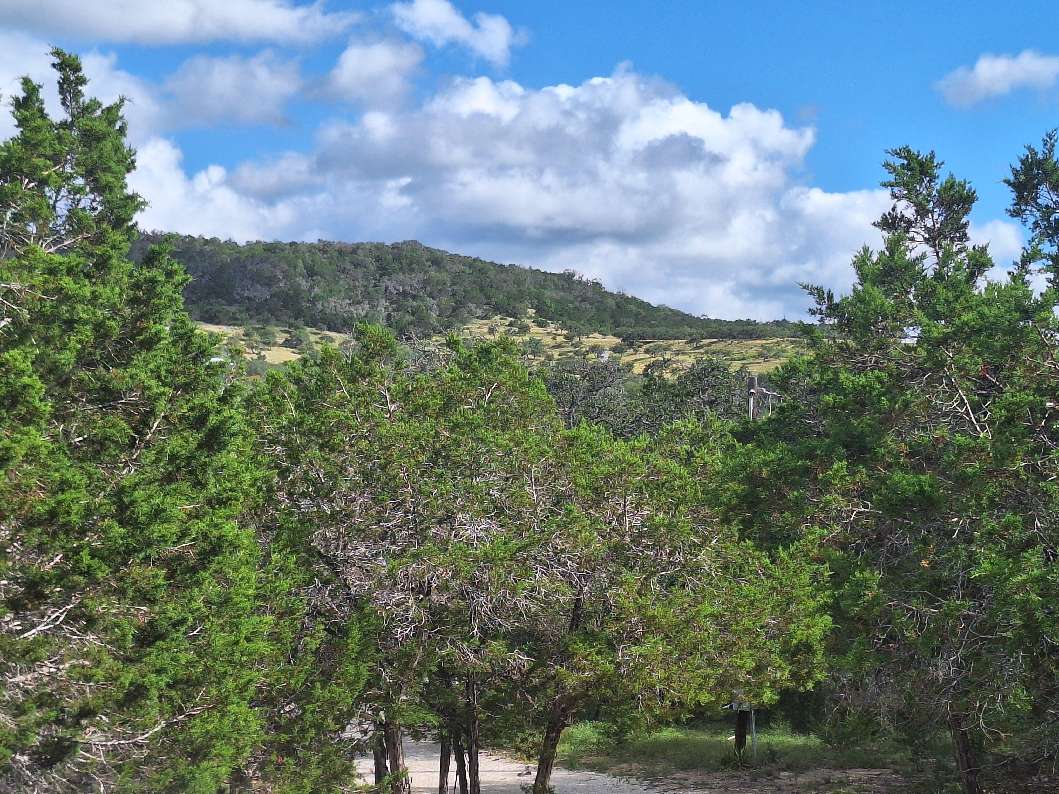 View from front porch