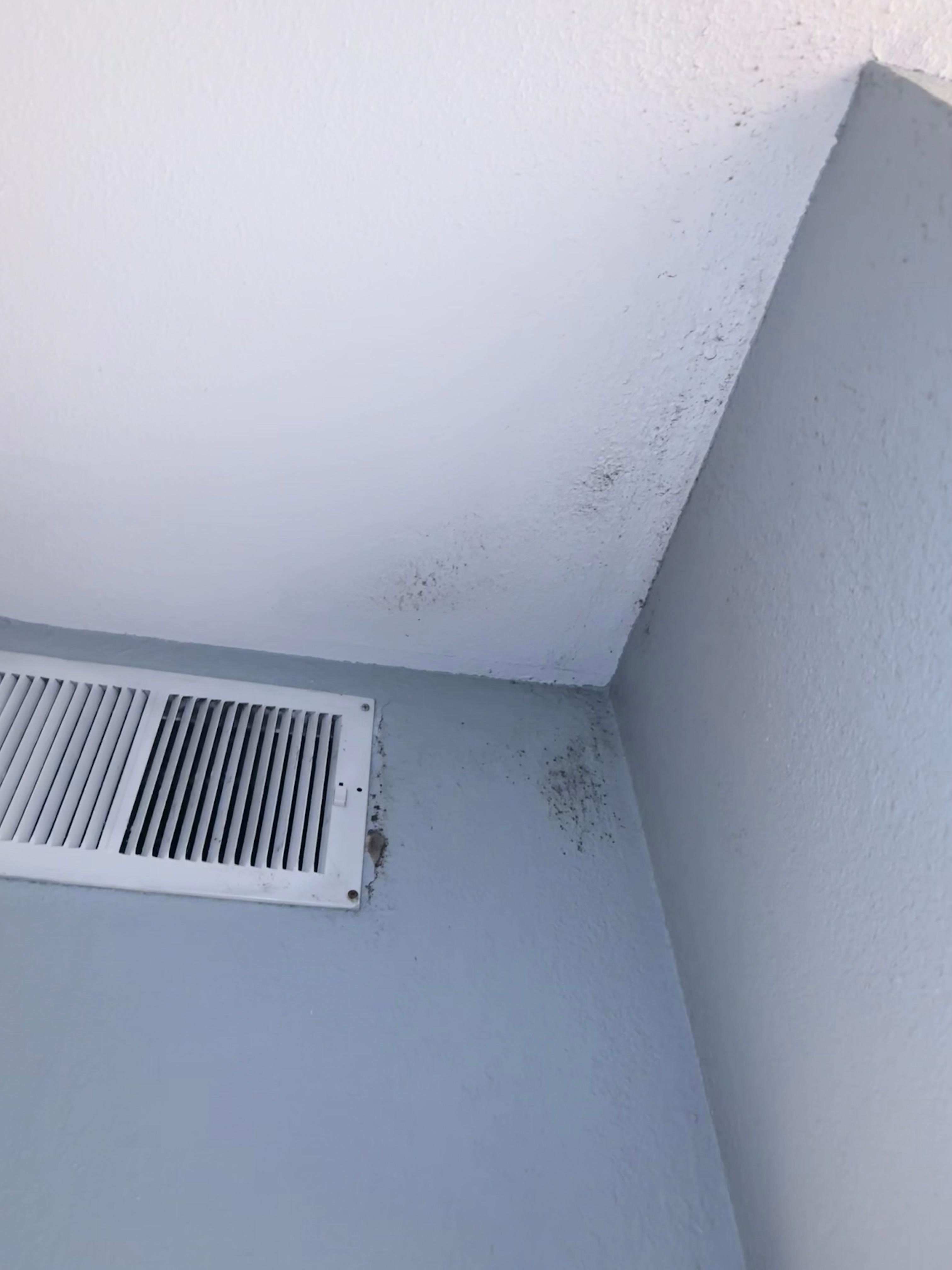 Mold by vent (video unable to upload)