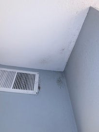 Mold by vent (video unable to upload)