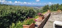 View from villa