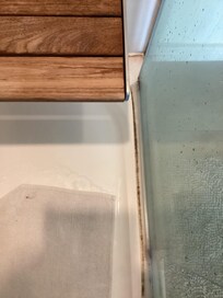 Mold in shower