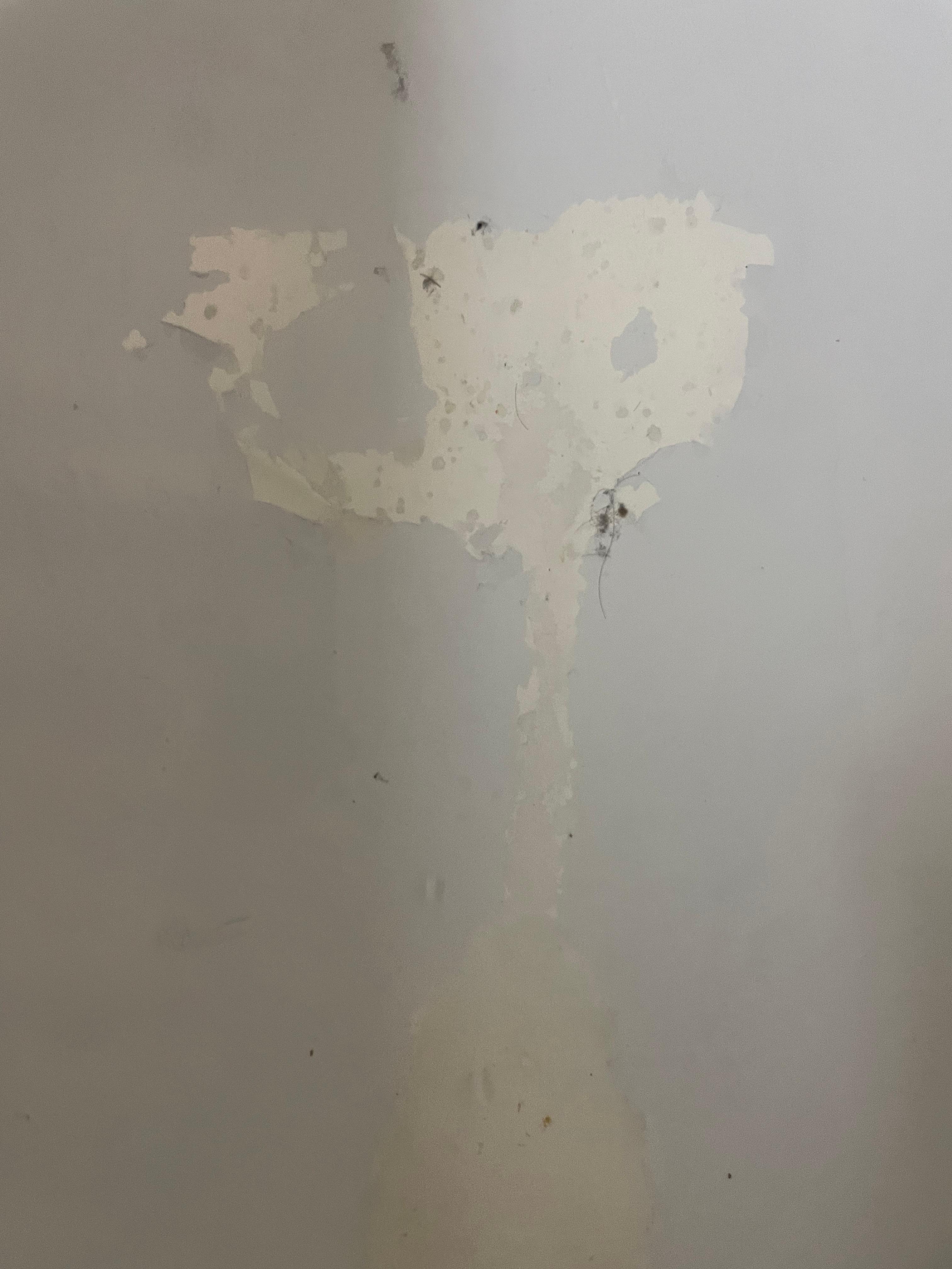 Looks like a can of paint was thrown in tub .
