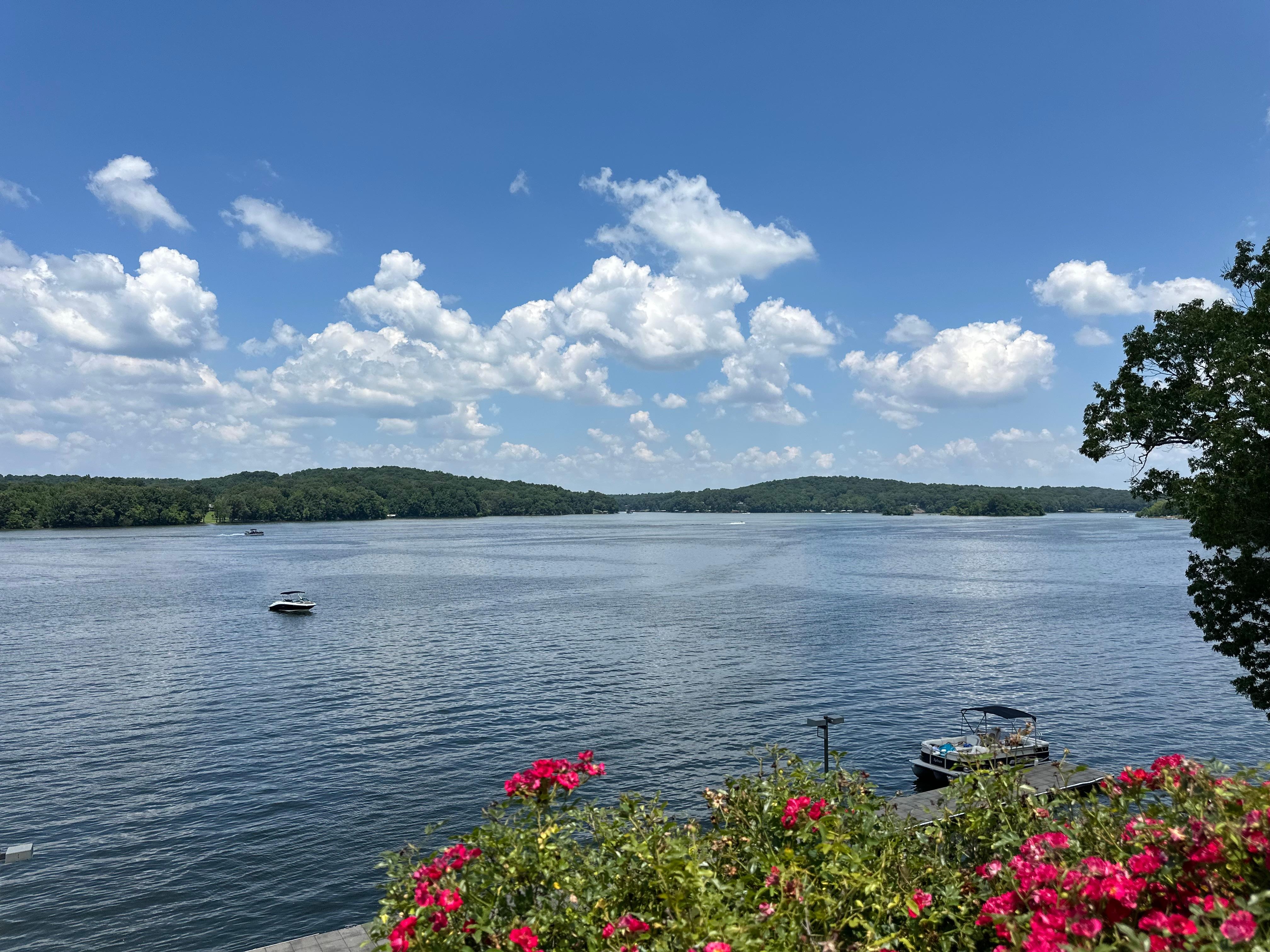 View from the pool
