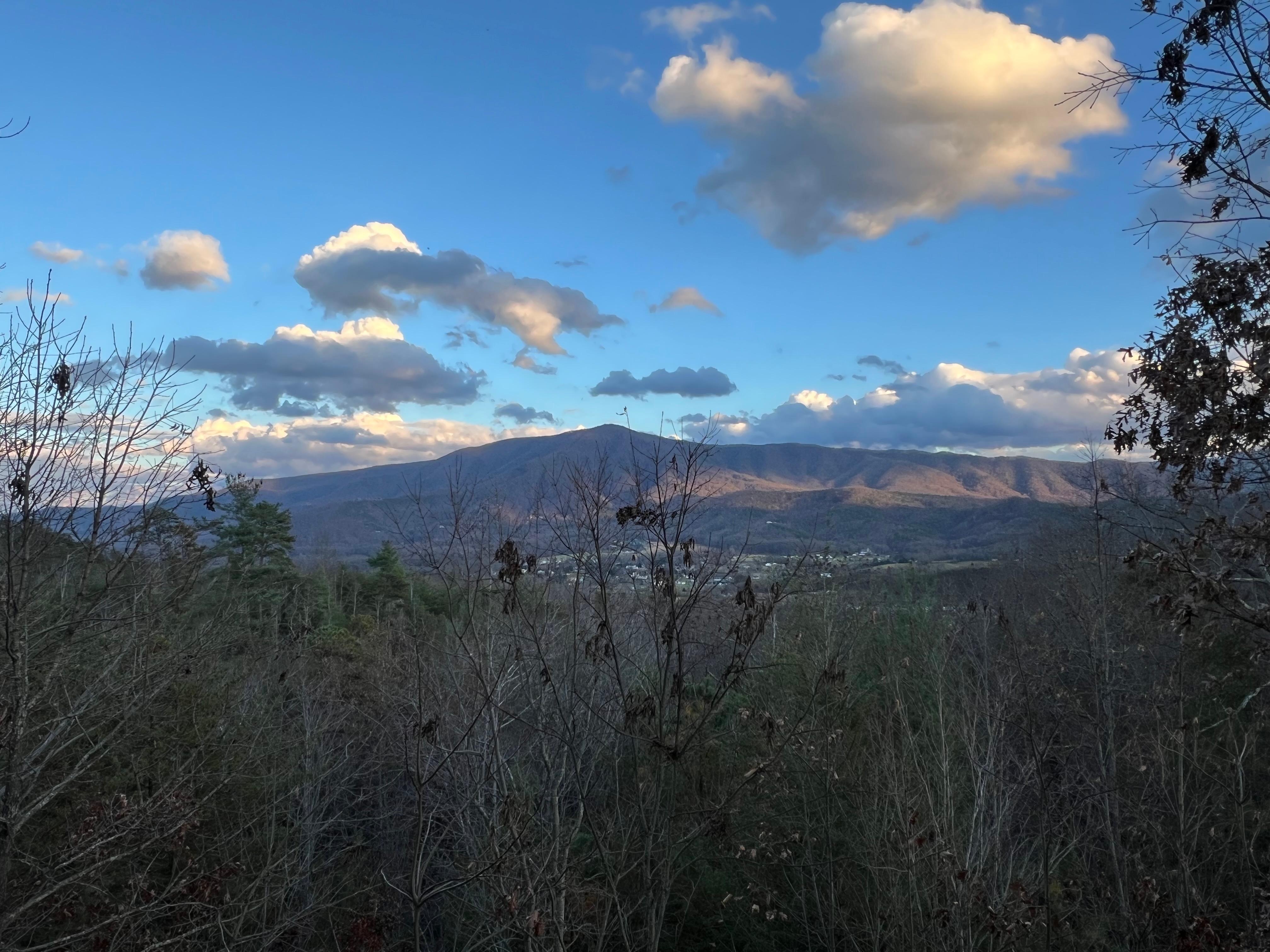 The view from the porch was incredible 