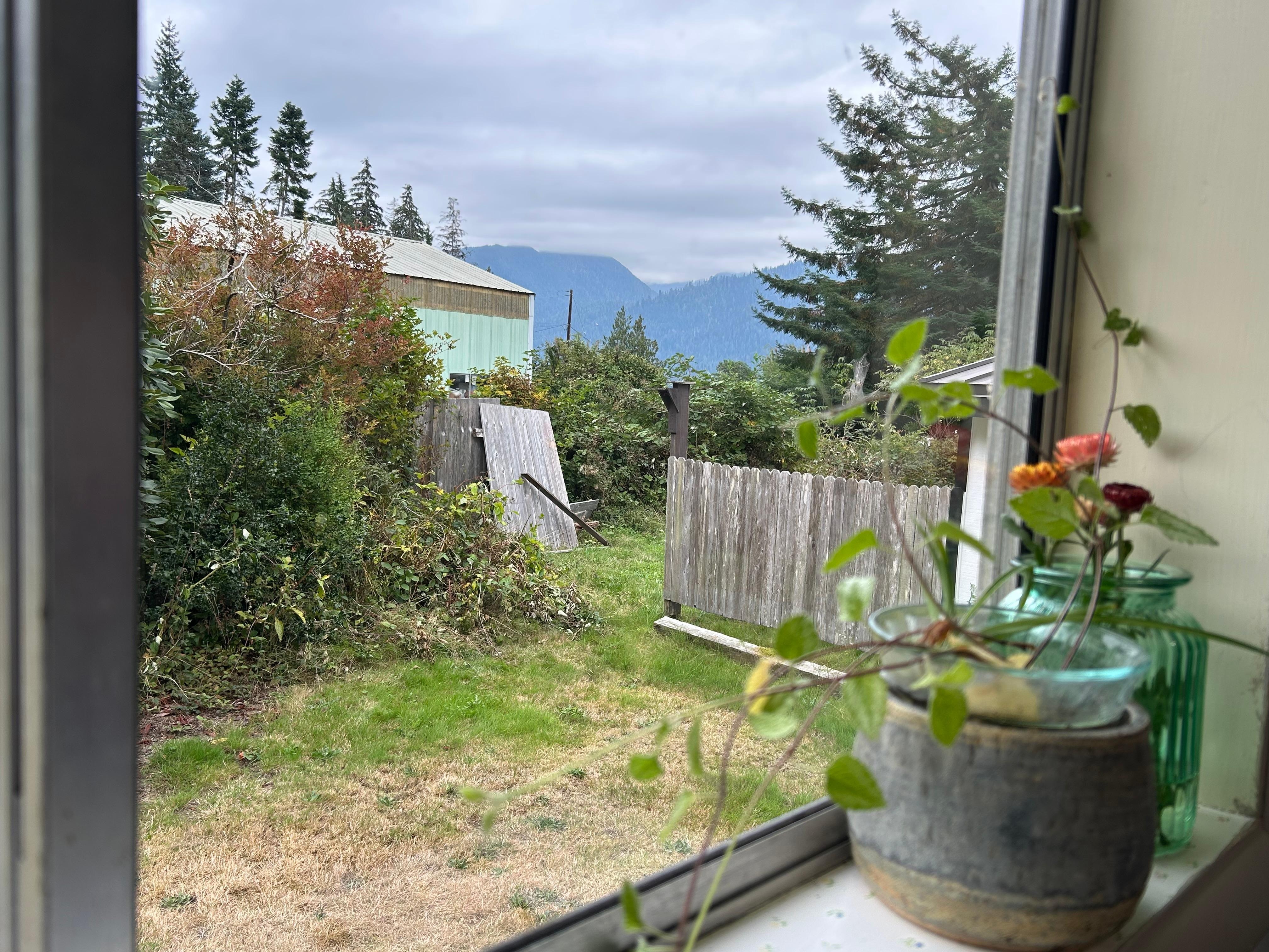 The view of the broken-down fence, as you look out the kitchen window toward the lake. 