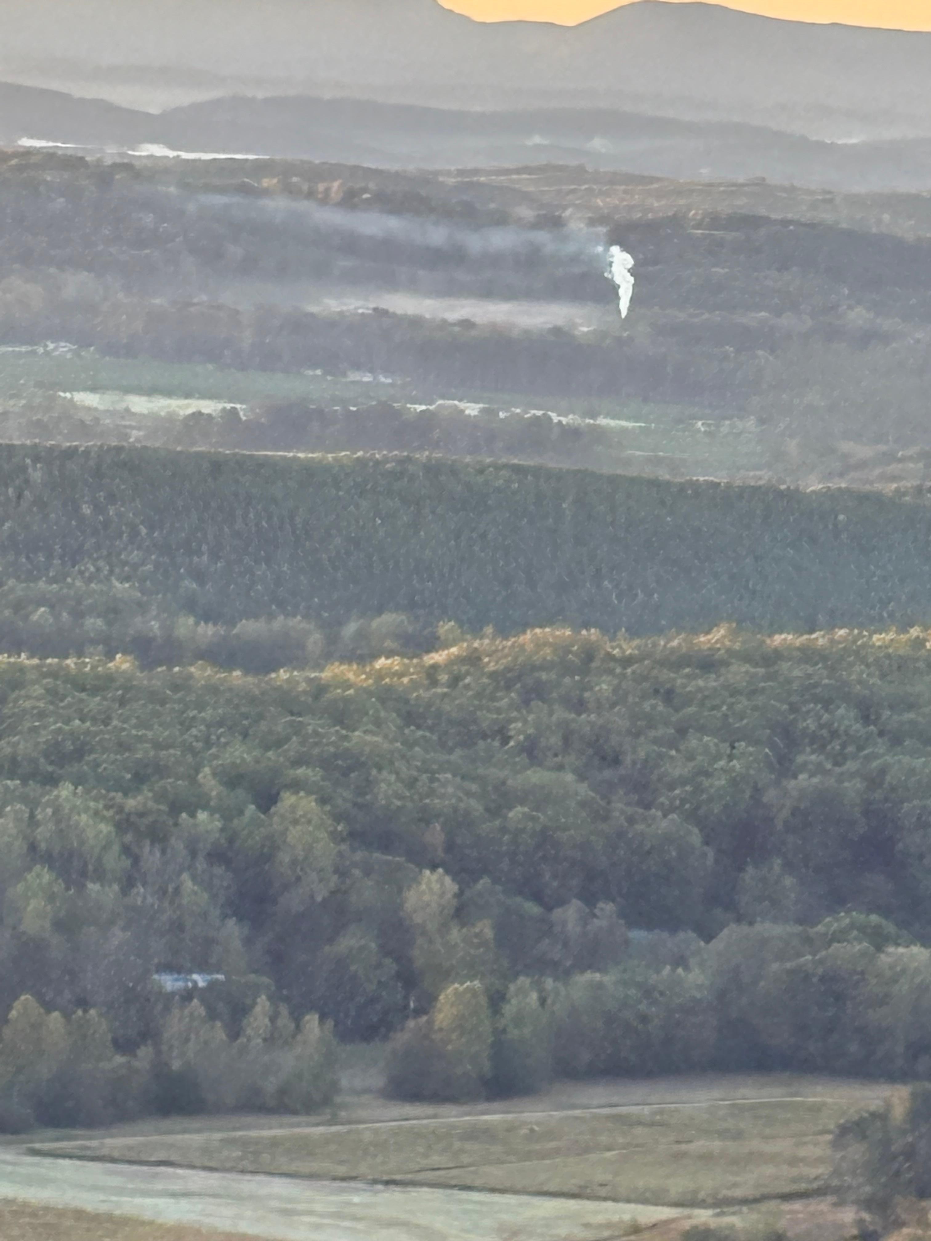 Looking off the back porch