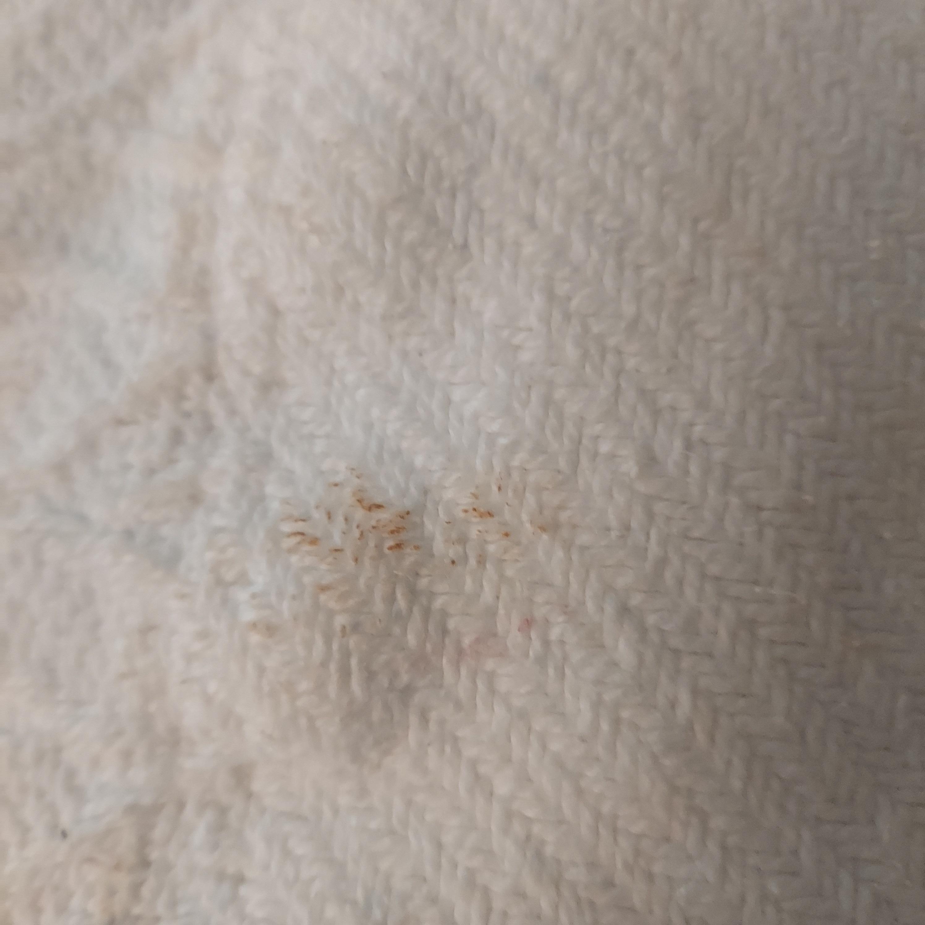 Soiled blanket