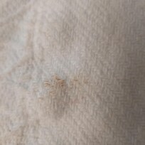 Soiled blanket