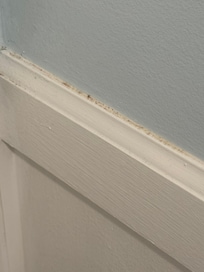 Mold on wall