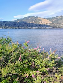 View from the walkway along the Columbia River
