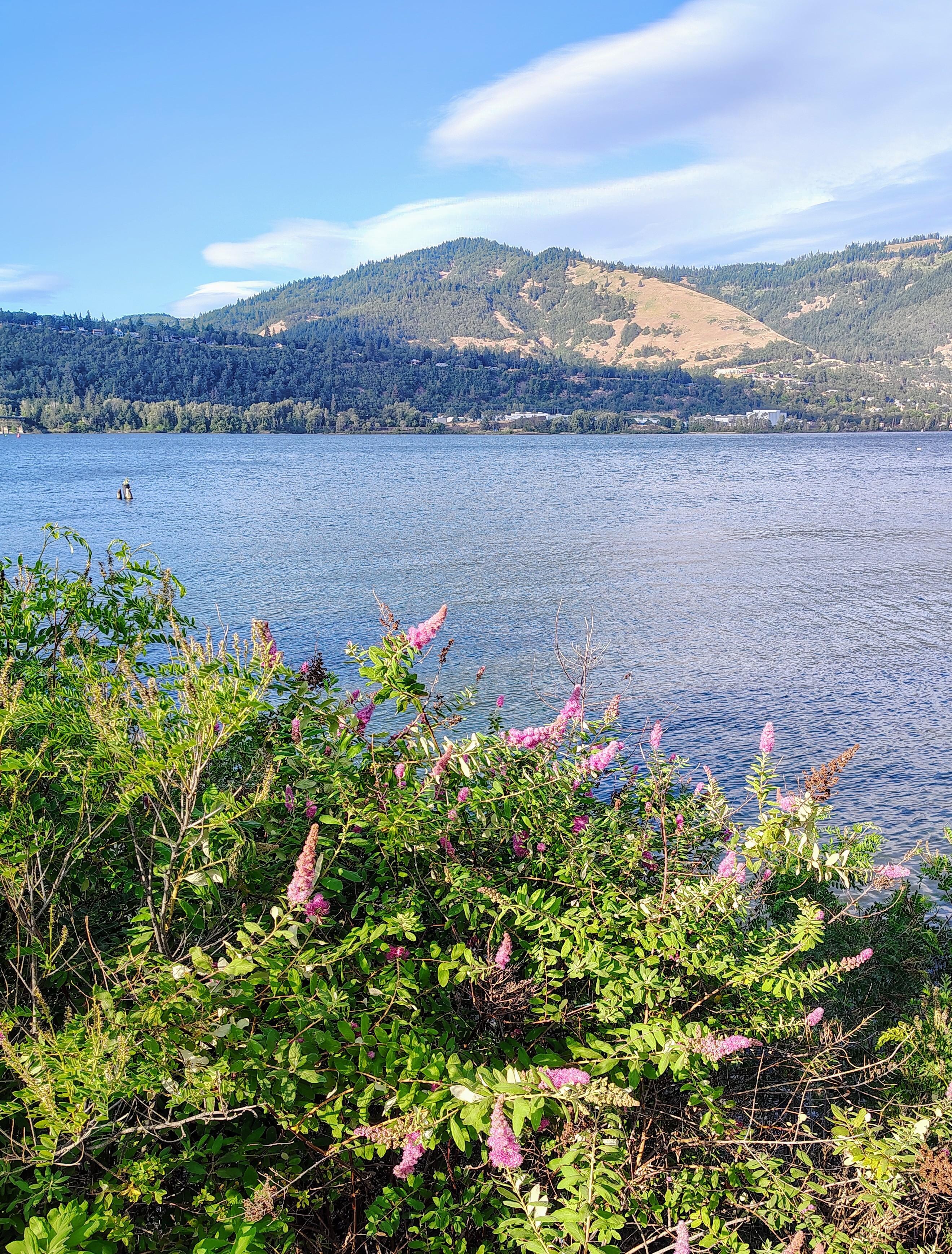 View from the walkway along the Columbia River 