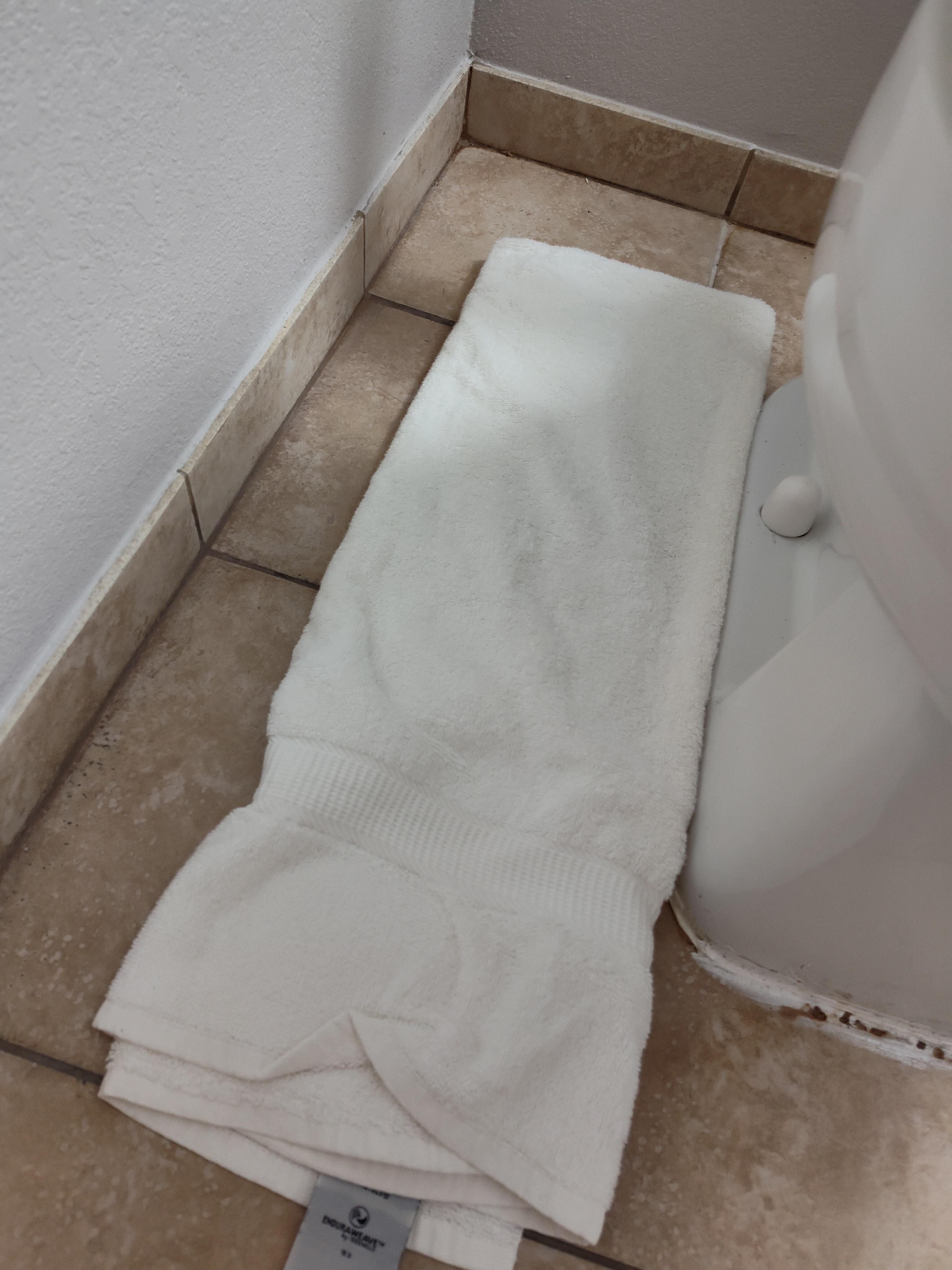 Toilet was leaking. The chalking need to be replaced.