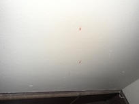 Stains on bathroom wall
