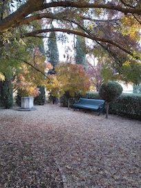 Gorgeous autumn colours in the garden