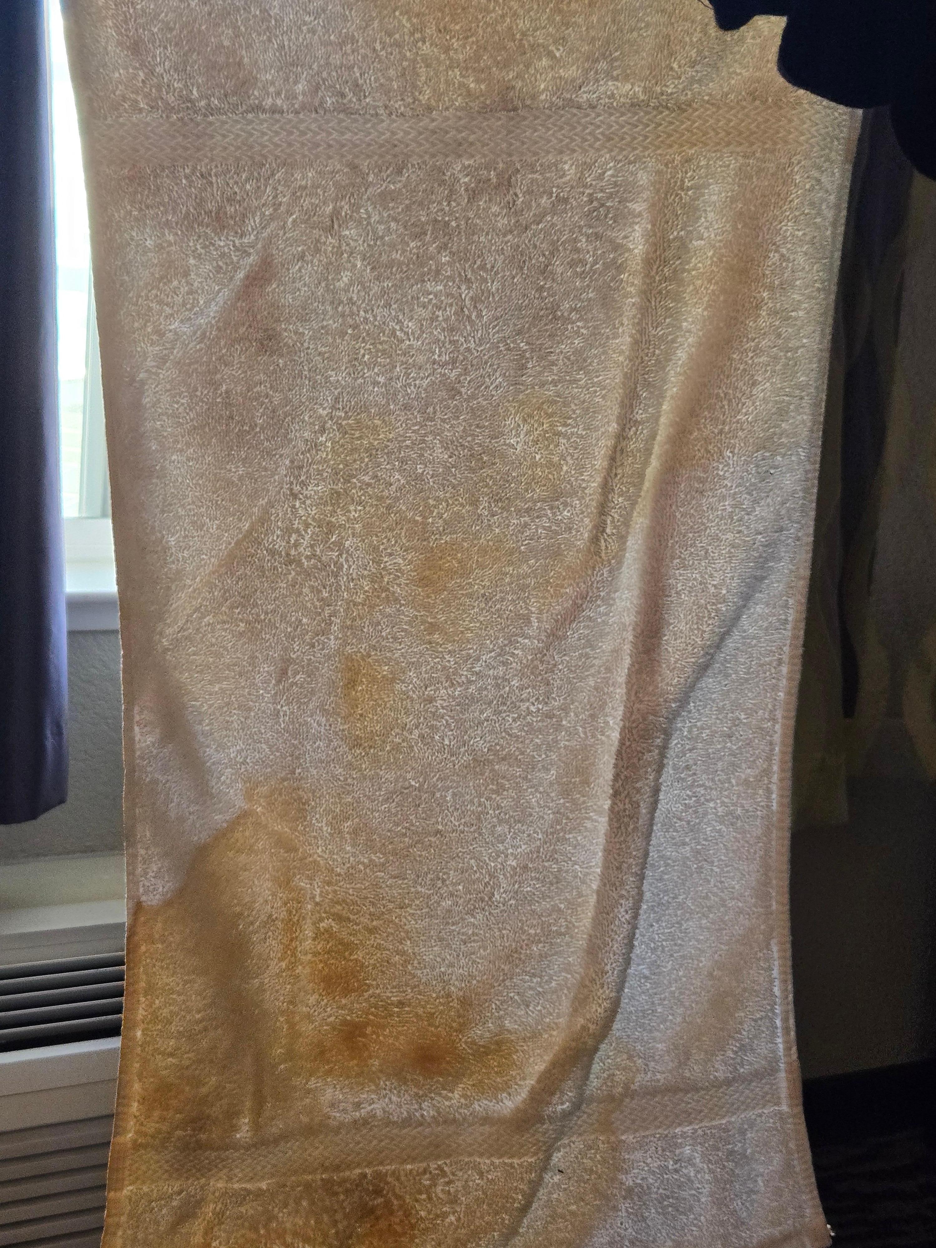 Brown ooze leaking out of fridge