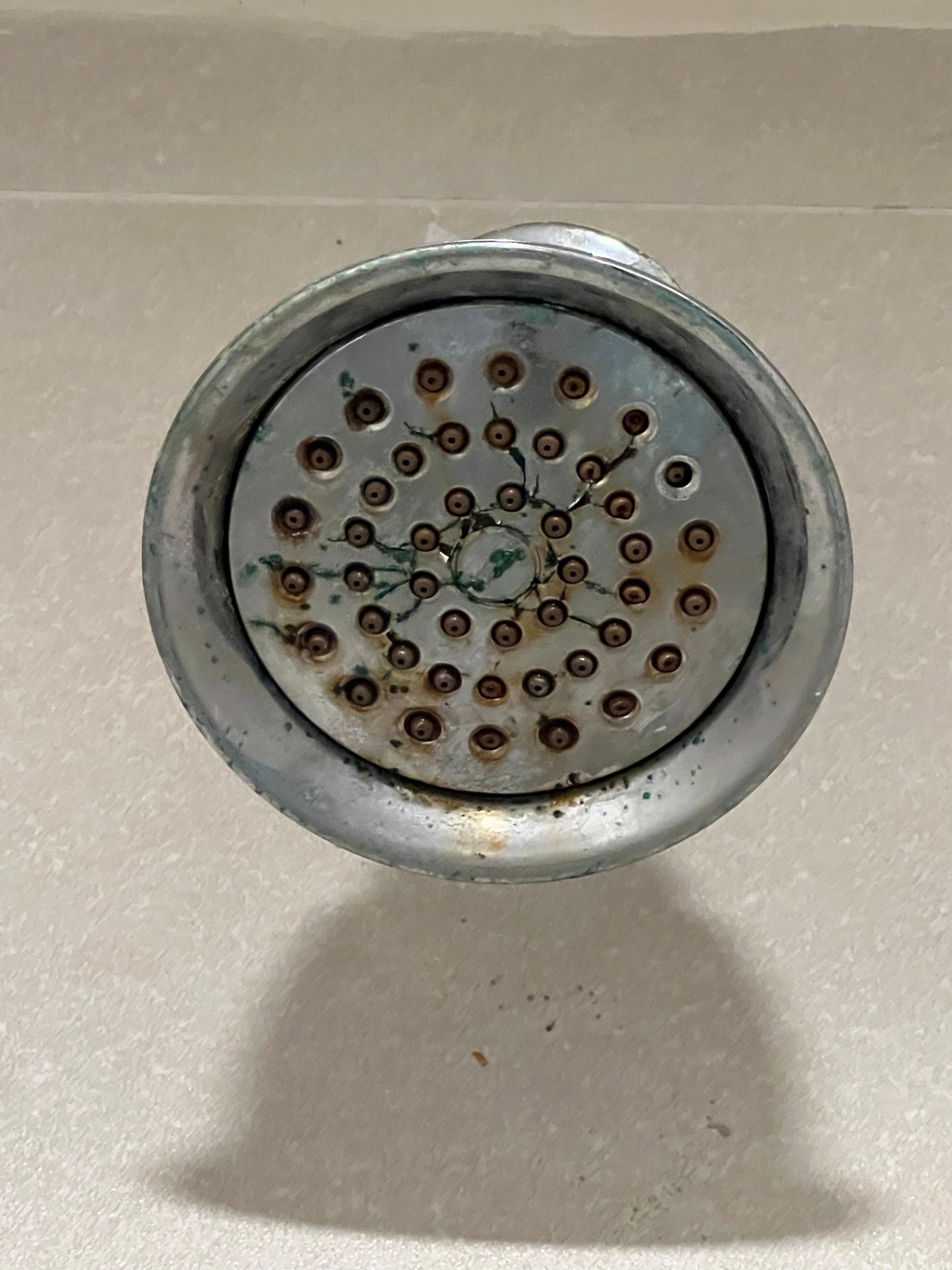 Rust, mildew, and mold in showers