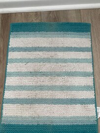 Filthy rug in half bathroom