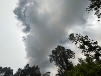 Episodic Eruption No. 44 from backyard