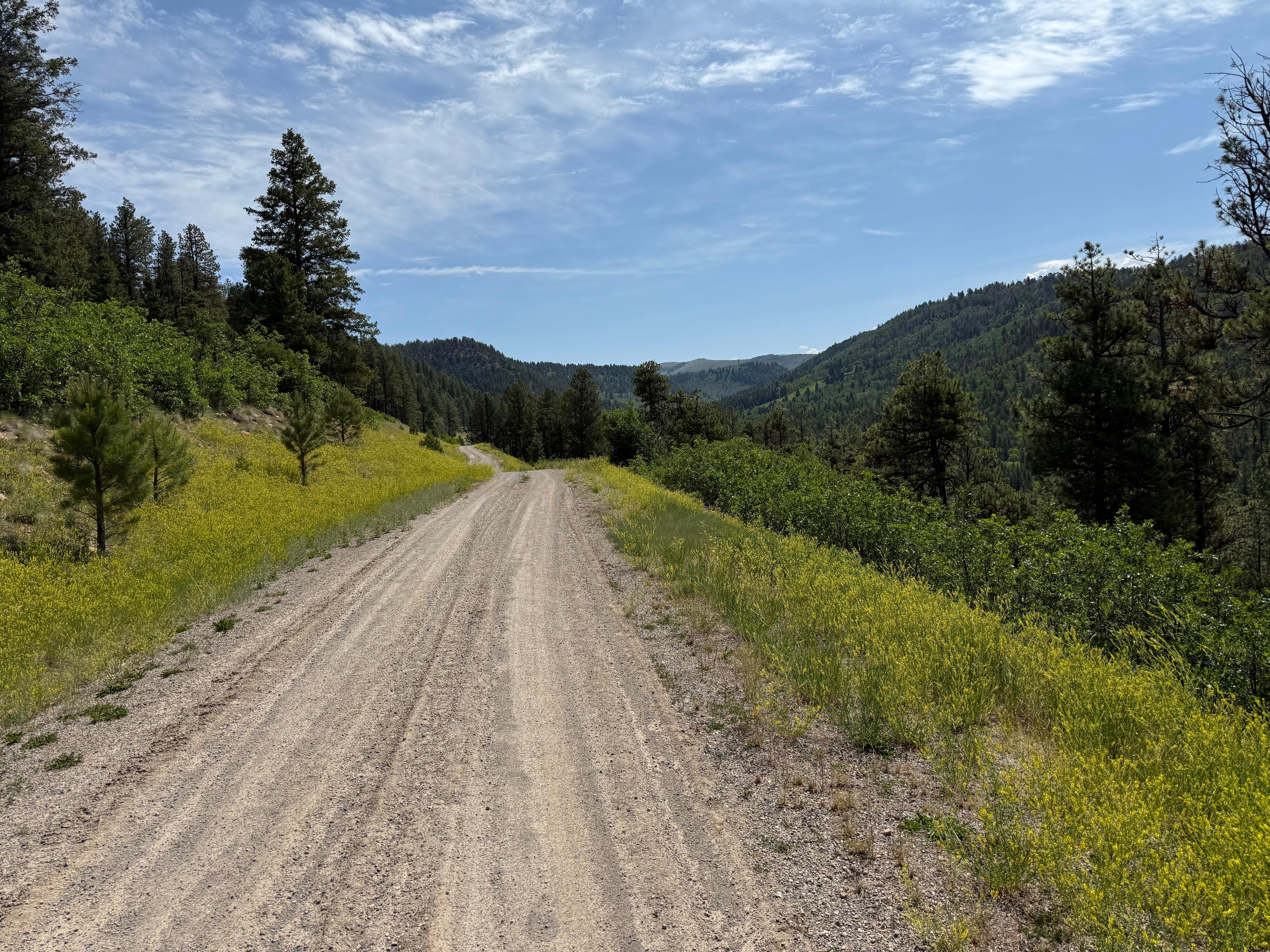 County road up to high meadows. 