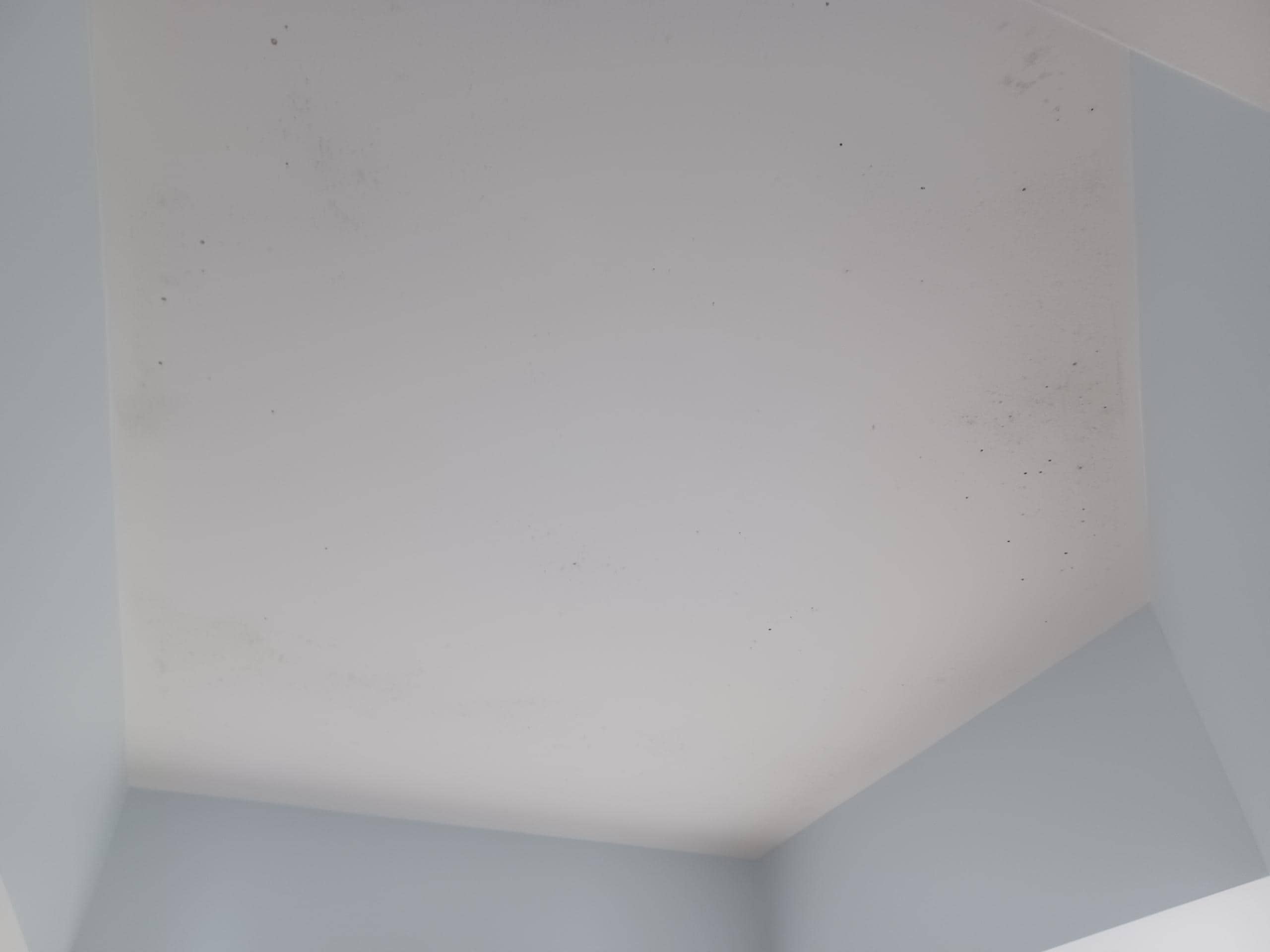 MOLD. Zoom in. In master bathroom. 