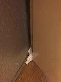 Toilet papir sammenkrøllet i det ene hjørne af værelset.