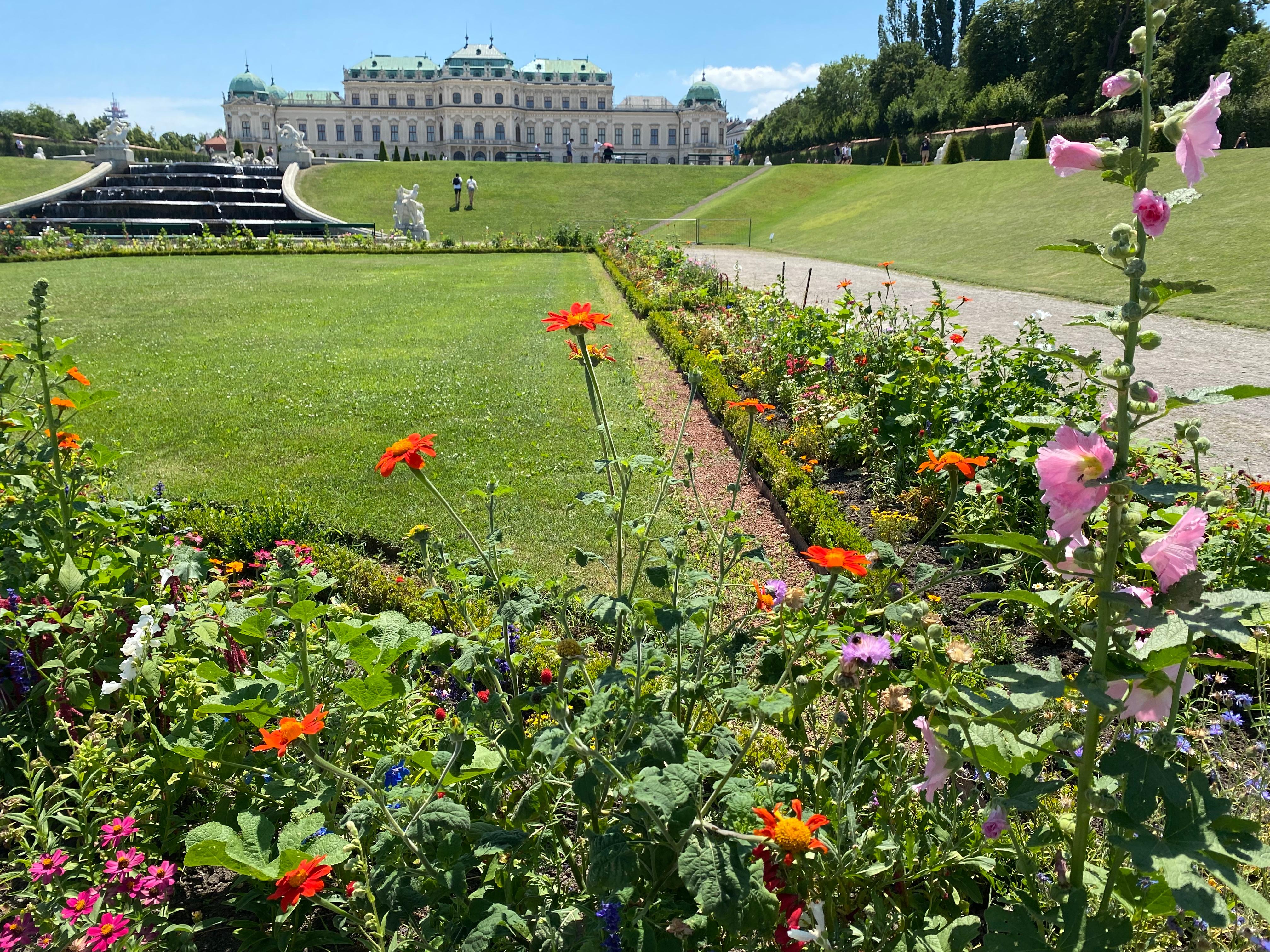 Belvedere di sopra 