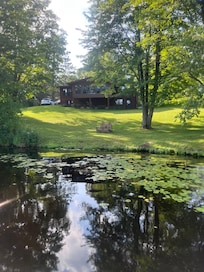 Perfect, quiet bay for paddling and fishing